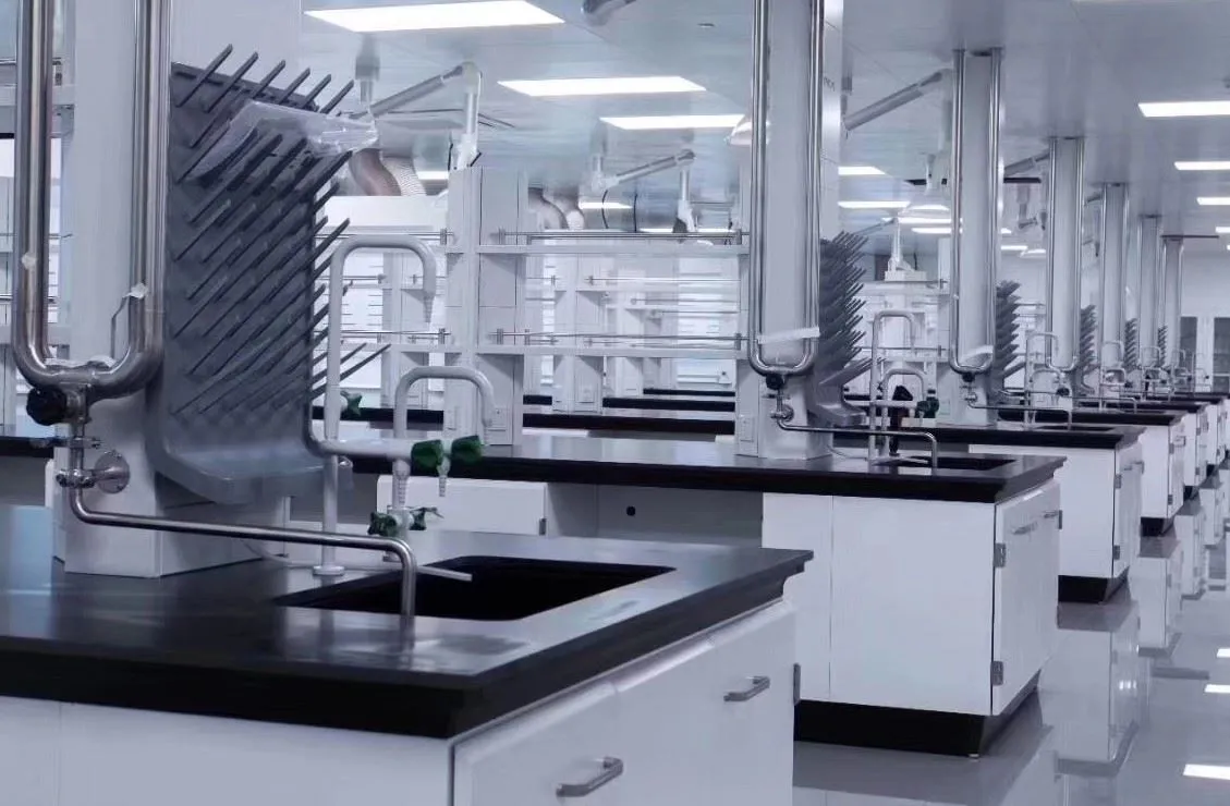 Laboratory Drain Rack