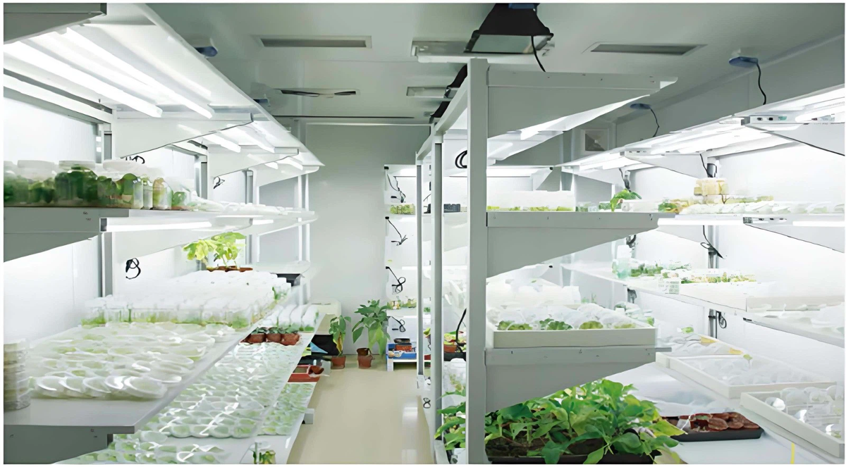 Tissue Culture Lab Tissue Culture Lab