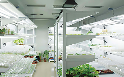 Sabit sıcaklık ve kontrol planlaması ile laboratuvar